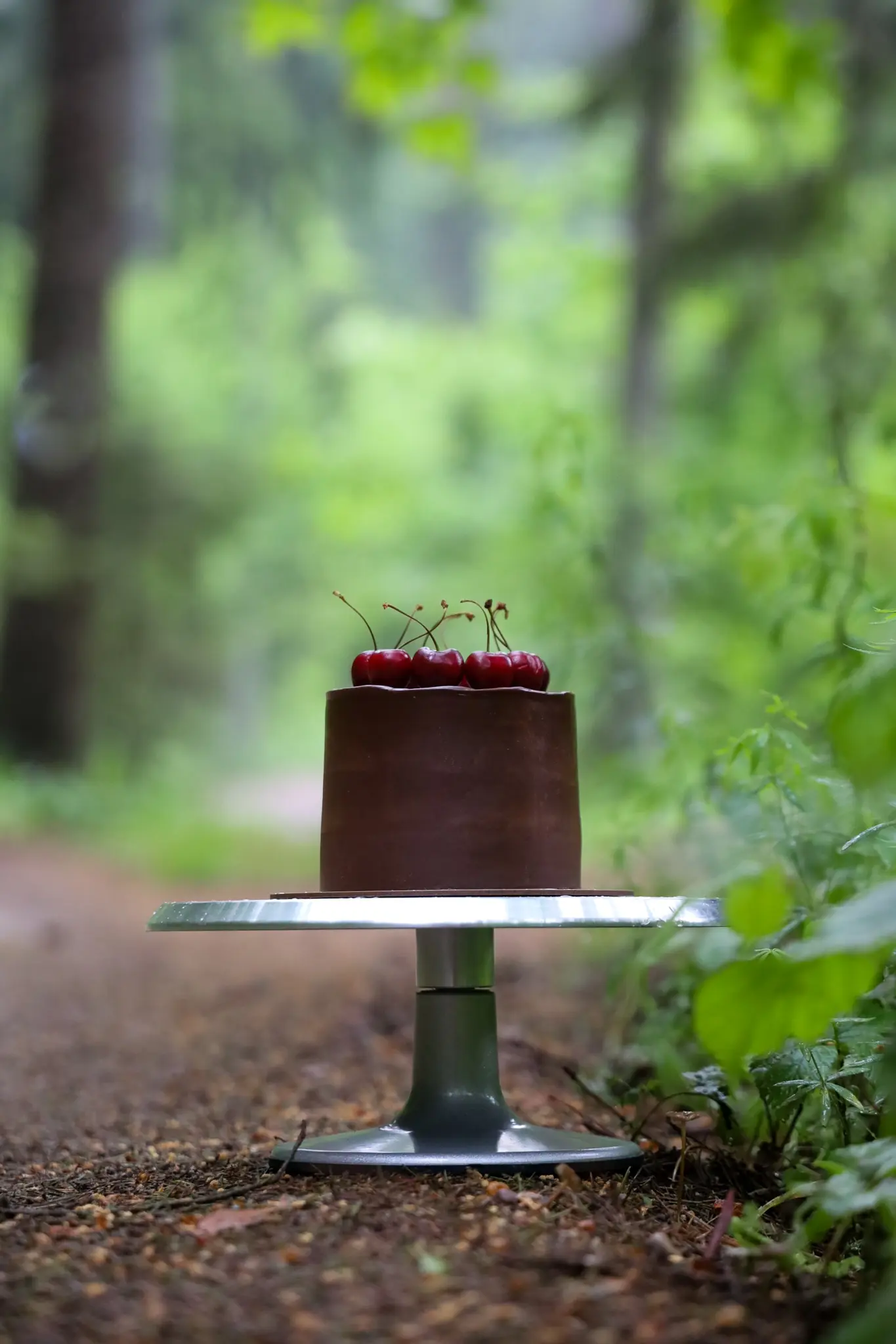 Вишнёвый с молочным шоколадом и бобами тонка